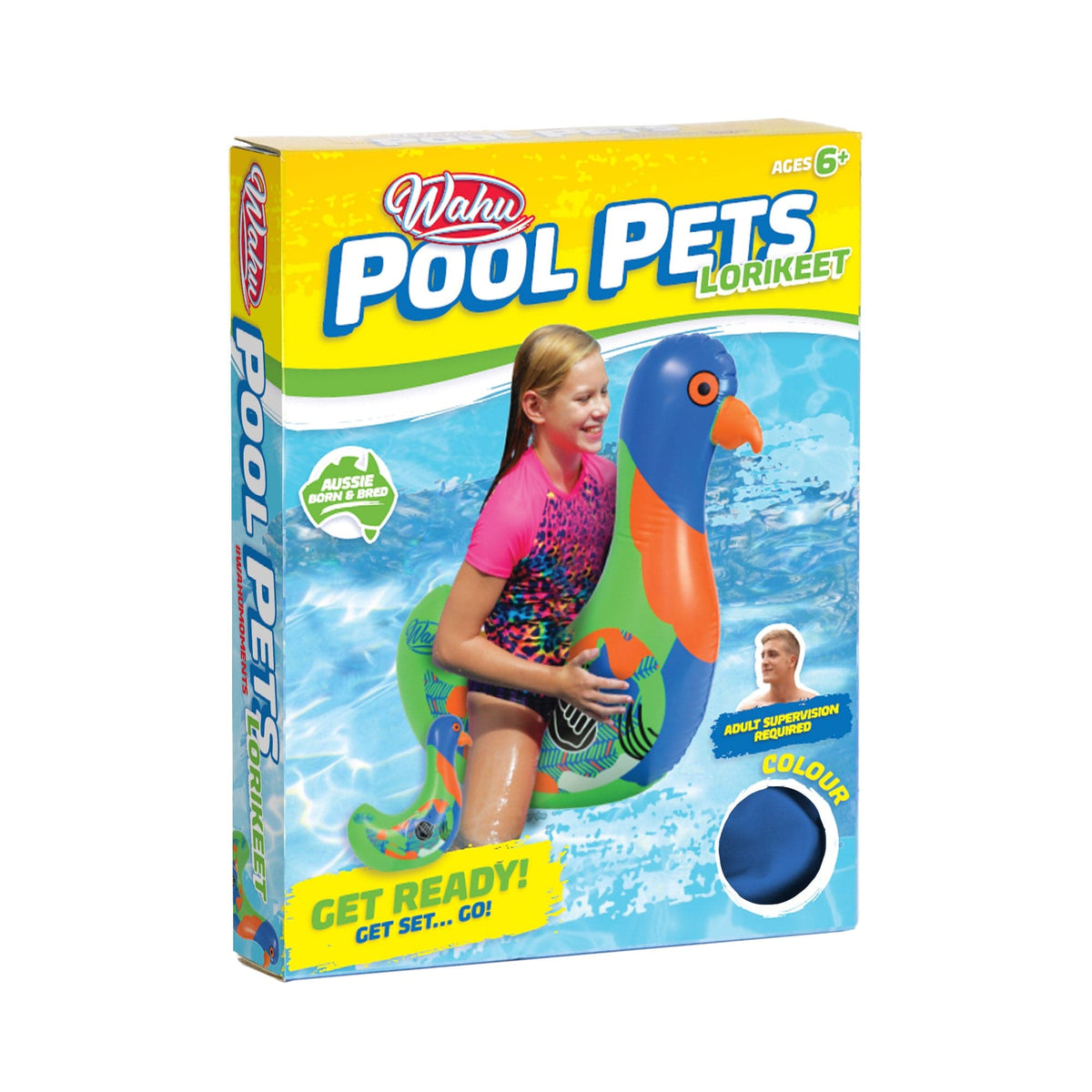 Wahu Pool Pets Rainbow Lorikeet